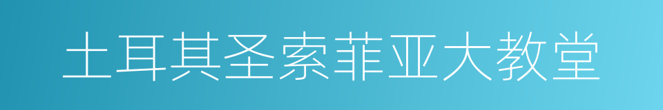 土耳其圣索菲亚大教堂的同义词