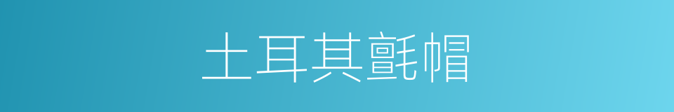 土耳其氈帽的同義詞