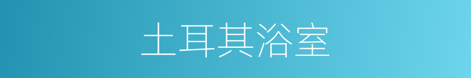 土耳其浴室的同义词