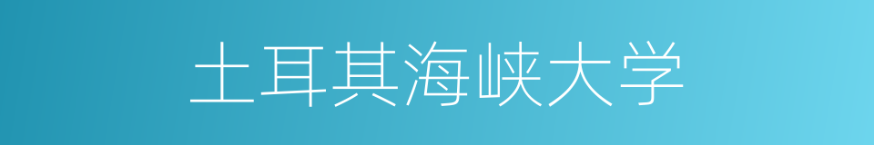 土耳其海峡大学的同义词