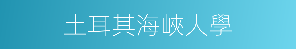 土耳其海峽大學的同義詞