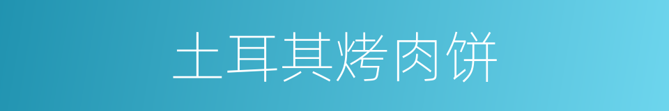 土耳其烤肉饼的同义词