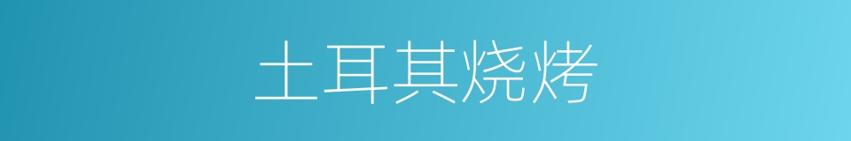土耳其烧烤的同义词