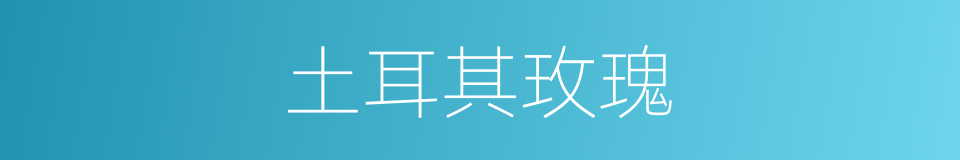 土耳其玫瑰的同义词