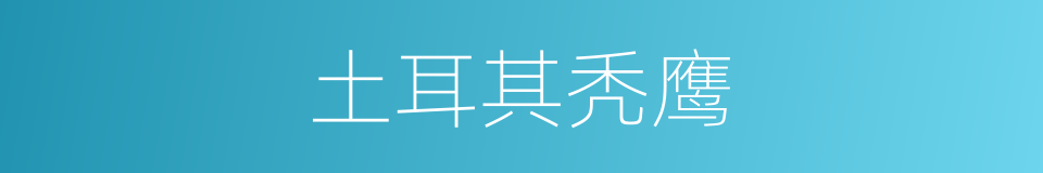 土耳其秃鹰的同义词