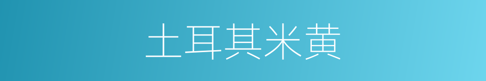 土耳其米黄的同义词