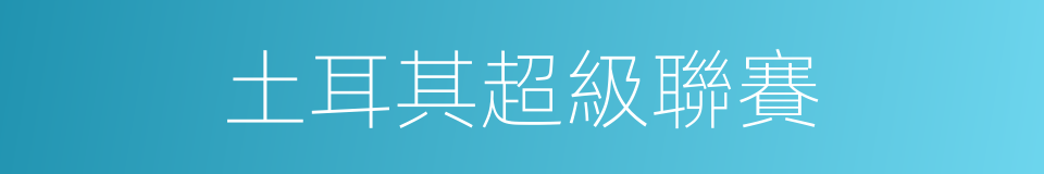 土耳其超級聯賽的同義詞