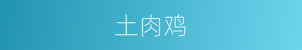 土肉鸡的同义词