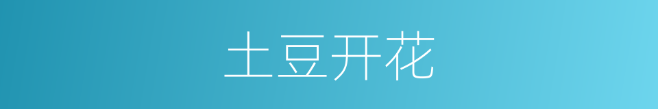 土豆开花的同义词