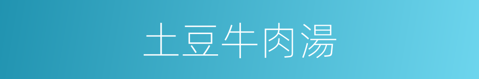 土豆牛肉湯的同義詞