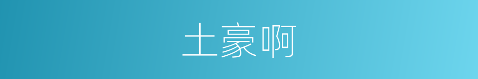 土豪啊的同义词