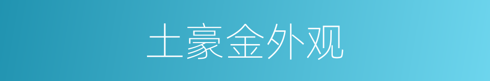 土豪金外观的同义词