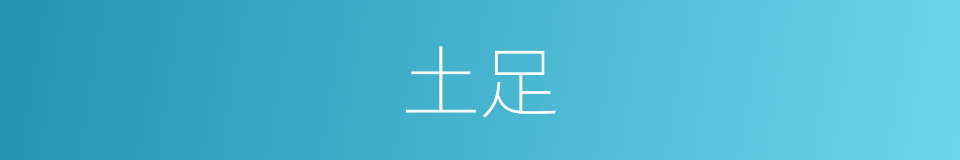 土足的同义词
