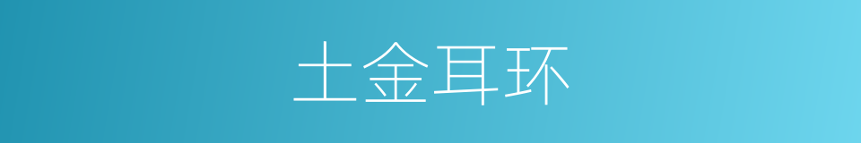 土金耳环的同义词