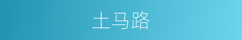 土马路的同义词
