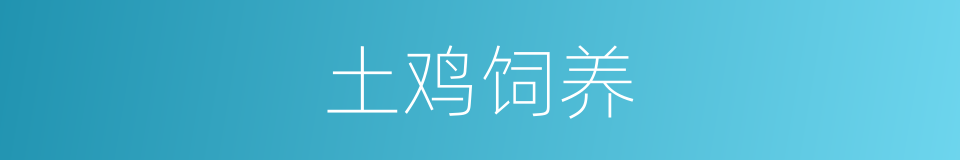土鸡饲养的同义词