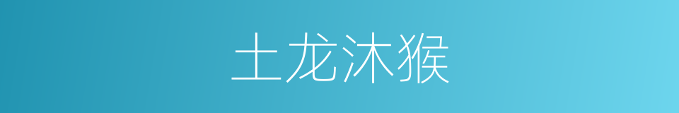 土龙沐猴的意思