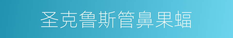 圣克鲁斯管鼻果蝠的同义词