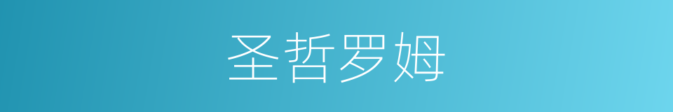 圣哲罗姆的同义词