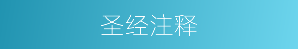 圣经注释的意思