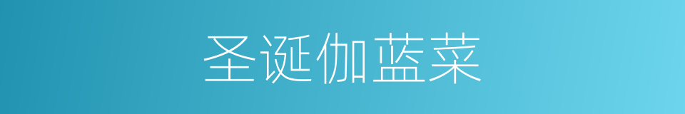 圣诞伽蓝菜的同义词