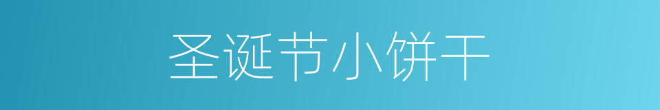 圣诞节小饼干的同义词