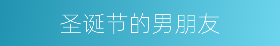 圣诞节的男朋友的同义词