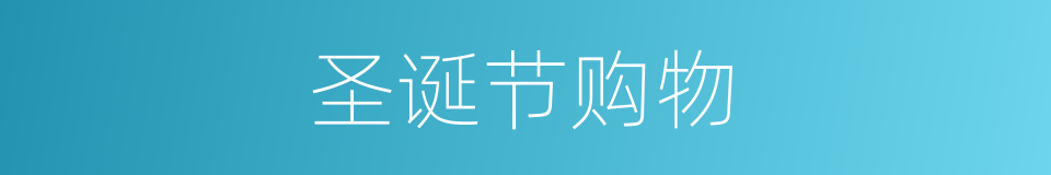 圣诞节购物的同义词
