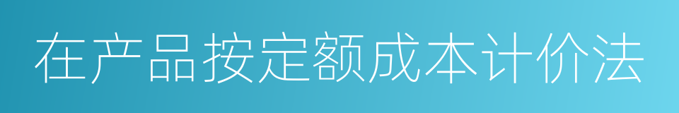 在产品按定额成本计价法的同义词