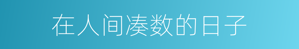 在人间凑数的日子的同义词
