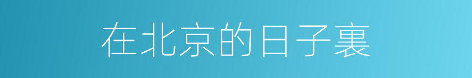在北京的日子裏的同義詞