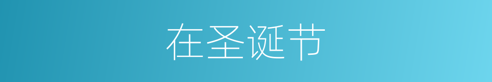 在圣诞节的同义词