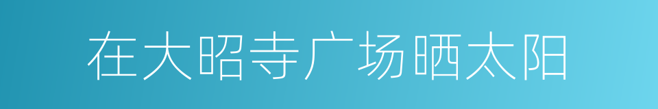 在大昭寺广场晒太阳的同义词