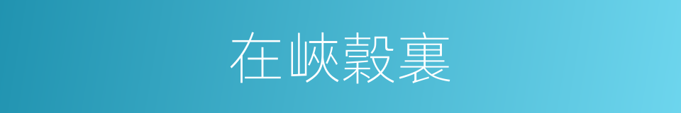 在峽穀裏的同義詞