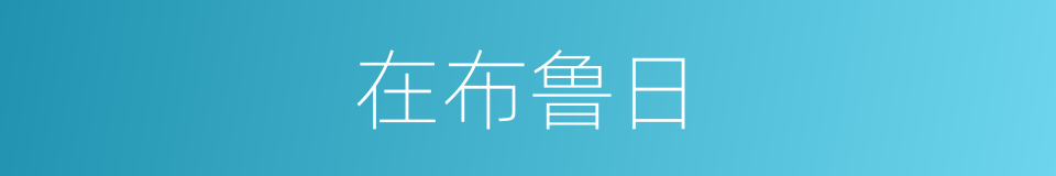 在布鲁日的同义词