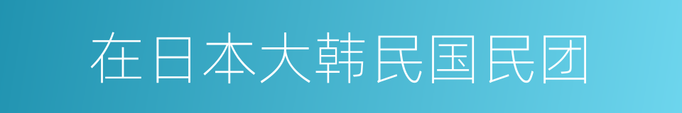 在日本大韩民国民团的同义词