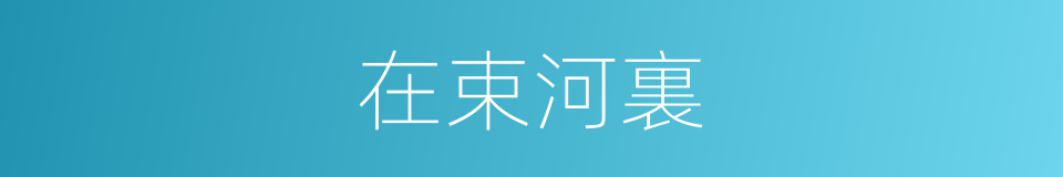 在束河裏的同義詞