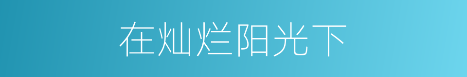 在灿烂阳光下的同义词