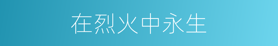 在烈火中永生的同义词