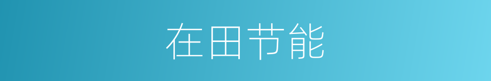 在田节能的同义词