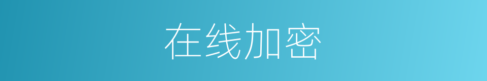 在线加密的同义词