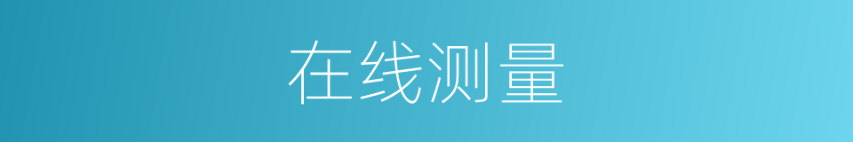 在线测量的同义词