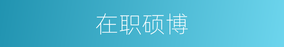 在职硕博的同义词