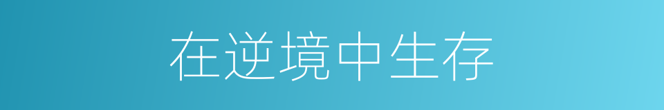 在逆境中生存的同义词