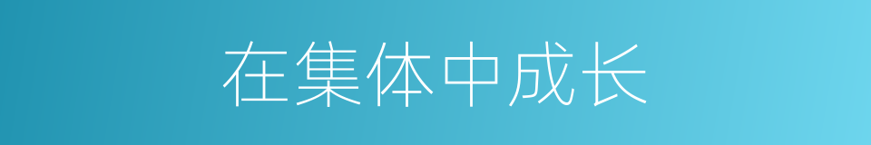 在集体中成长的同义词
