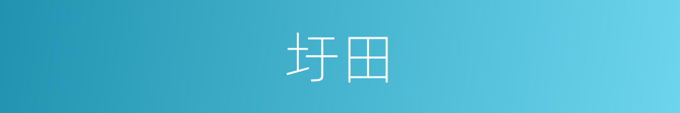 圩田的意思
