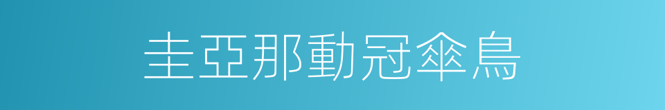 圭亞那動冠傘鳥的同義詞