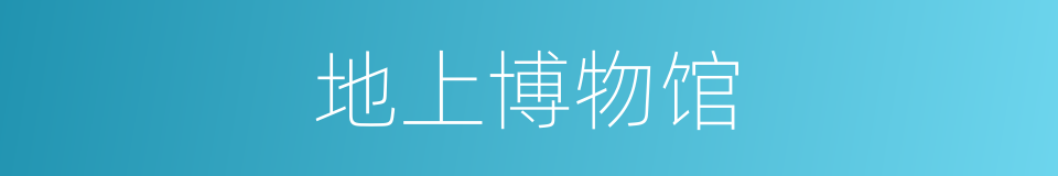 地上博物馆的同义词