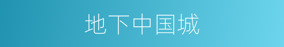地下中国城的同义词