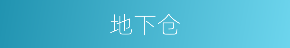 地下仓的同义词